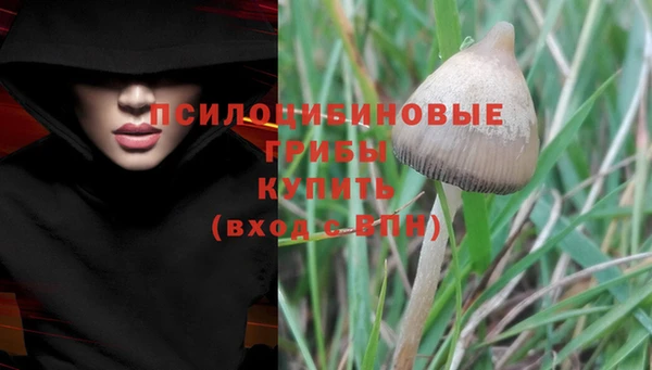 прущая мука Баксан