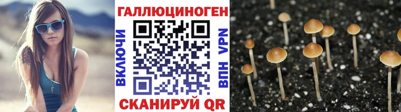 даркнет сайт  Обь  Галлюциногенные грибы мицелий 